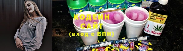 шишки Баксан