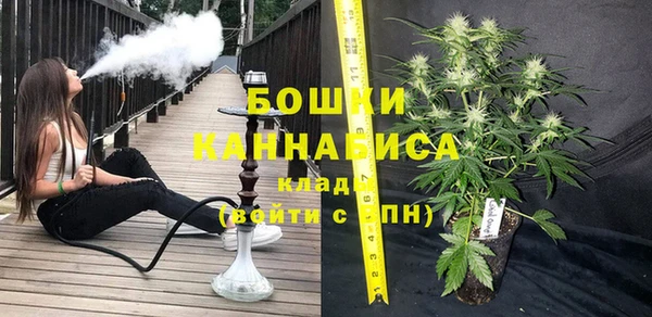 шишки Баксан