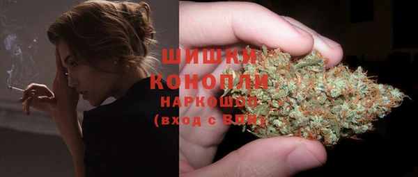 шишки Баксан