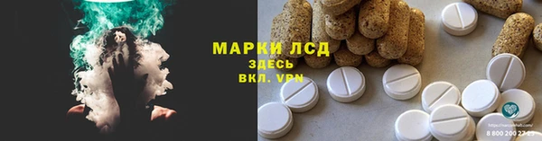 шишки Баксан