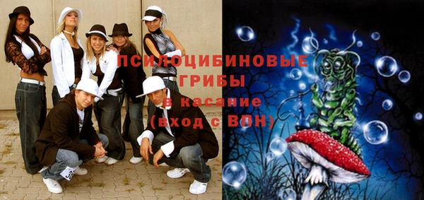 ПСИЛОЦИБИНОВЫЕ ГРИБЫ Балахна