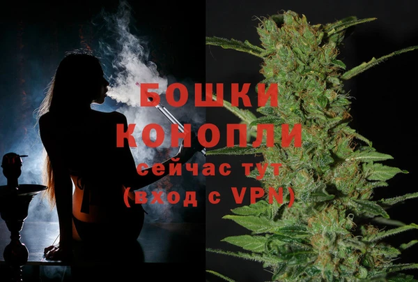 шишки Баксан