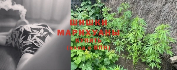 гашик Балабаново