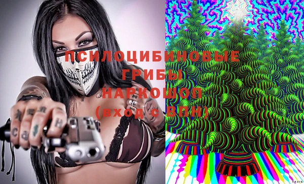 ПСИЛОЦИБИНОВЫЕ ГРИБЫ Балахна