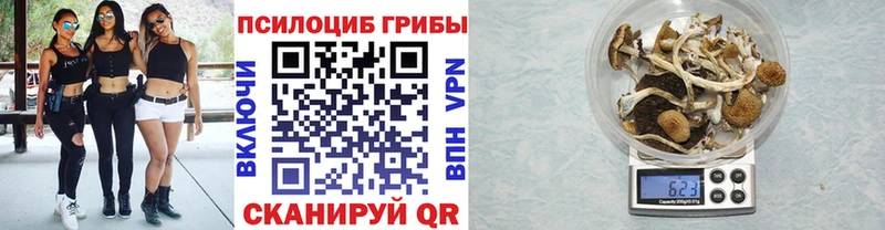 Псилоцибиновые грибы Psilocybe  KRAKEN ССЫЛКА  Холмск  купить наркоту 